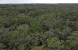 34287 Berryhill Drive, Webster, FL 33597