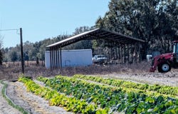 46683 PEEPLES Lane, WAUCHULA, FL 33873