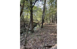 No E Lake Drive, Clinton, MS 39056