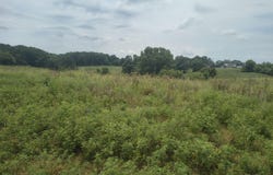 1830 Sweet Corn Drive, Galena, MO 65656