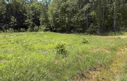 506-706 Grant 433, Sheridan, AR 72132