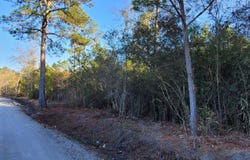 Auburn Drive lot: 2, Loris, SC 29569