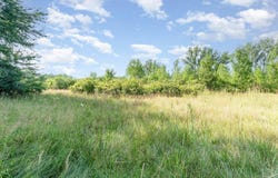 Kenora Drive, Saginaw, MI 48604