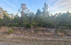 455 Darter Avenue, Sebring, FL 33870
