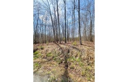 272 LEEDS LN, SHADY SPRING, WV 25918