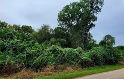 446 Riverside Dr, Bastrop, TX 78602