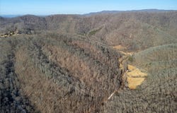 1 Boone Creek Rd., TALCOTT, WV 24981
