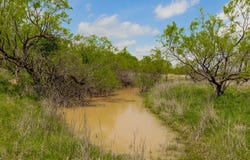 817 County Road 130, Ballinger, TX 76882