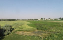 Highway 730, Irrigon, OR 97844