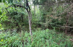 4.18 AC Salishan Drive, Halifax, VA 24558