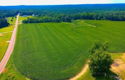 State Route 22A S, Henderson, TN 38340