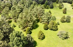 Harps Hill Road, Graham, KY 42344