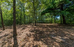 229 May Apple Way, Landrum, SC 29356