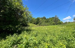Minor Street Rd, Canton, NY 13617