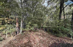 14087 LOT 4 Jackson Rd, Zachary, LA 70791