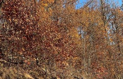 Ridges lot: 58M, Hayesville, NC 28904