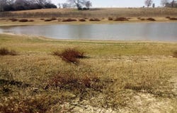 Pr 1311, Centerville, TX 75833
