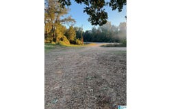 15806 HIGHWAY 82 lot: 1, DUNCANVILLE, AL 35456