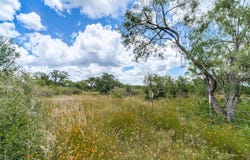 Hickory Grove Rd., Mason, TX 76856