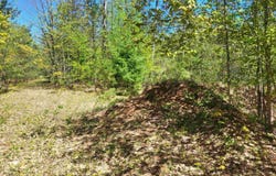 00 N HULBERT ROAD, INTERLOCHEN, MI 49643