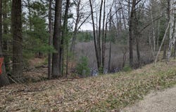 V/L 0 W Crooked Lake Rd, Lake City, MI 49651
