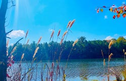 1 Mt Olive Road, Butler, AL 36904