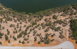 Choate lot: 11, Bowie, TX 76230
