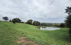 Walnut St., Ethel, MO 63539