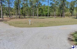 1315 Hill Harrell Road, Effingham, SC 29541-3179