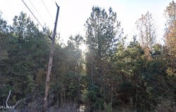 Oliver Street, Hampton, SC 29924
