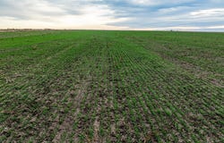 1 County Road 119, Haskell, TX 79521