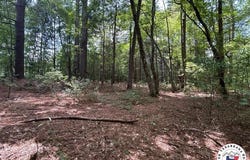 3 ac TBD CR 3440, Atlanta, TX 75551