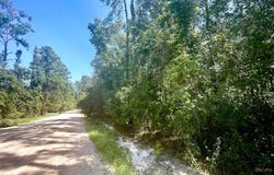 171ST RD lot: 29, Live Oak, FL 32060
