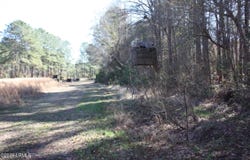 2650 Joe Miley Road, Brunson, SC 29911