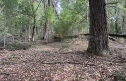 320 Coon Creek Road, Salyer, CA 95563