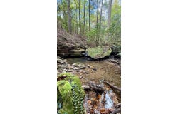 Braden Lane, Gruetli Laager, TN 37339
