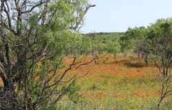 9999 County Road 334, Blanket, TX 76432