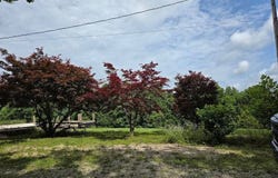 58533 Murphy Reamy rd., Mc Arthur, OH 45651
