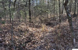 35.8 Acres Whitetail Way, Lincoln, MO 65338