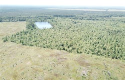 County Road 4308, Simms, TX 75574