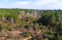 County Road 1247, Center, TX 75935