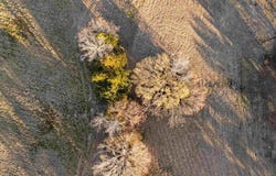 Ridgeway Ct. lot: 1, Winona, TX 75792