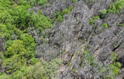 Pomeroys Rd, Windber, PA 15963