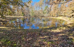 State Route Nn, Mountain View, MO 65548