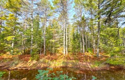 THIRD CREEK SUBDIVISION lot: 7, Paradise, MI 49768