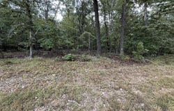 Private Road 2532, Mountain View, MO 65548