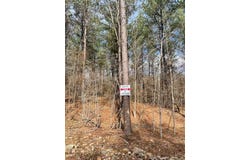 773 Timber Creek Trails S XI, Broken Bow, OK 74728