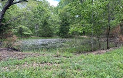 Co Rd 321 Route 5, Ava, MO 65608