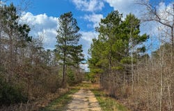 TBD County Rd 328, DeBerry, TX 75639