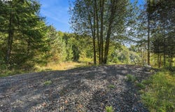 95220 SITKUM Ln, MyrtlePoint, OR 97458